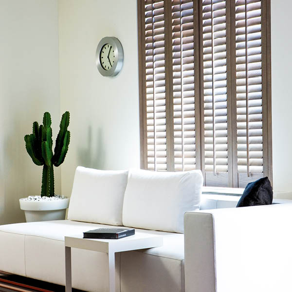 full height mahogany shutters with cactus